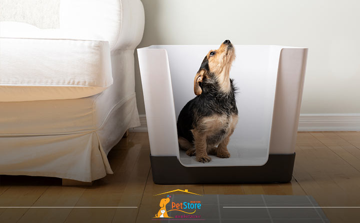 انتخاب ظرف دستشویی سگ مناسب