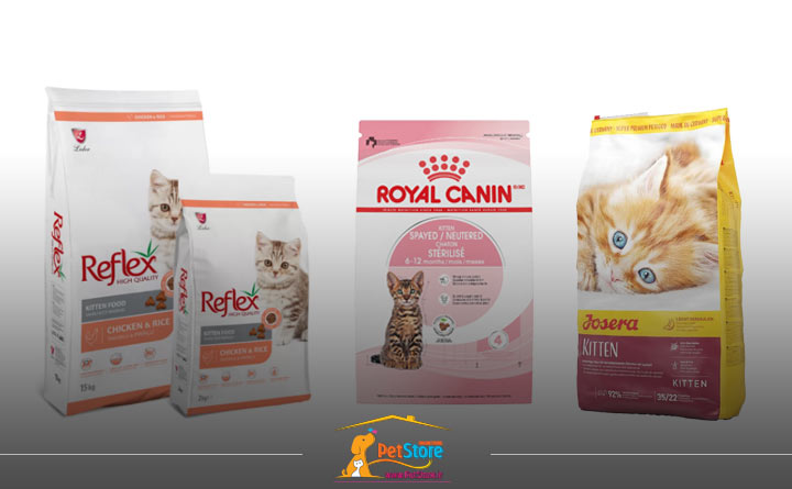 برندهای تولیدکننده غذای بچهگربه