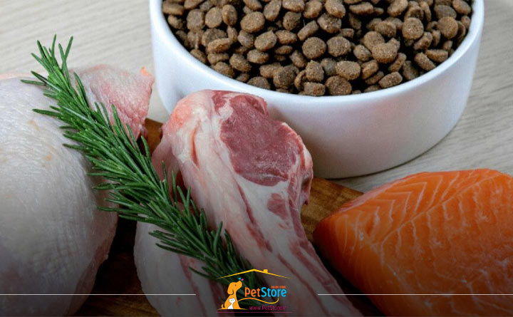 پروتئین در غذای سگ