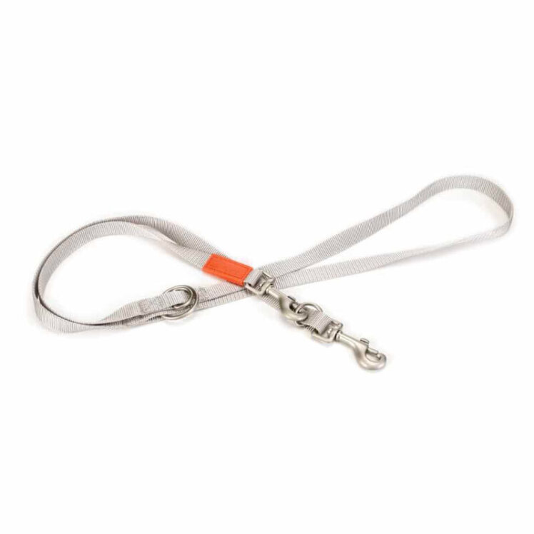 تصویر لید سگ تسمه ای بیزتیس سایز S