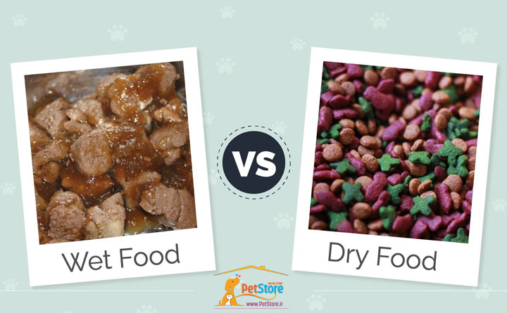 مقایسه غذای خشک و تر گربه