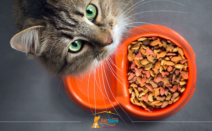 فواید غذای خشک گربه
