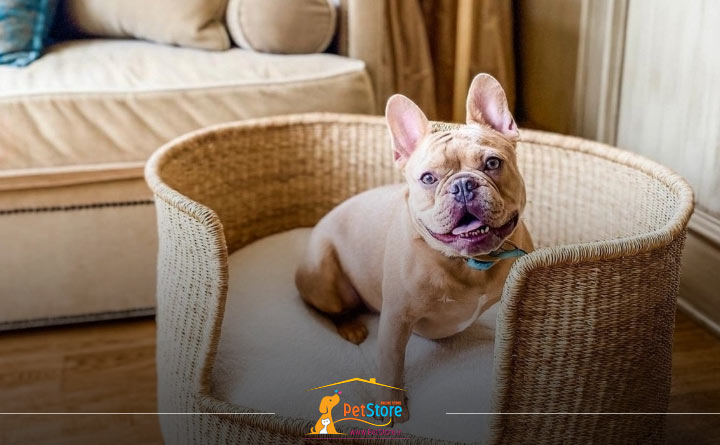 تخت لبه دار سگ از انواع تخت