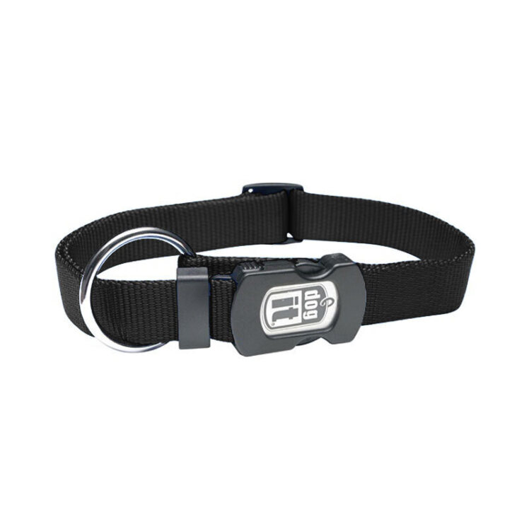 تصویر قلاده گردنی تسمه ای بدون لید سگ هاگن سایز بزرگ رنگ مشکی