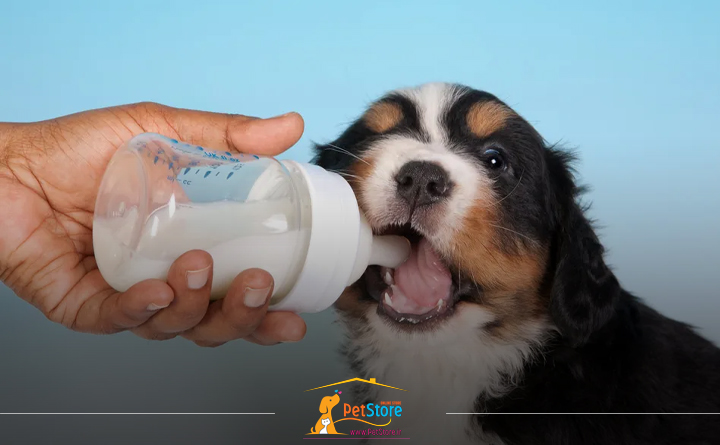 سگ ها و لاکتوز