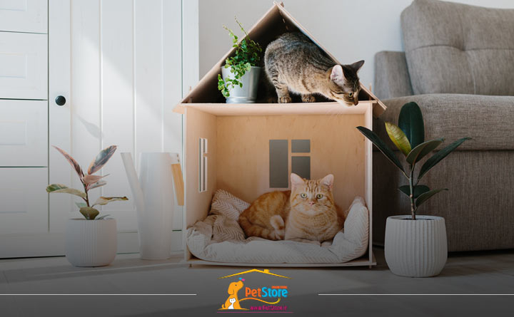 وسایل لازم برای نگهداری از گربه در خانه