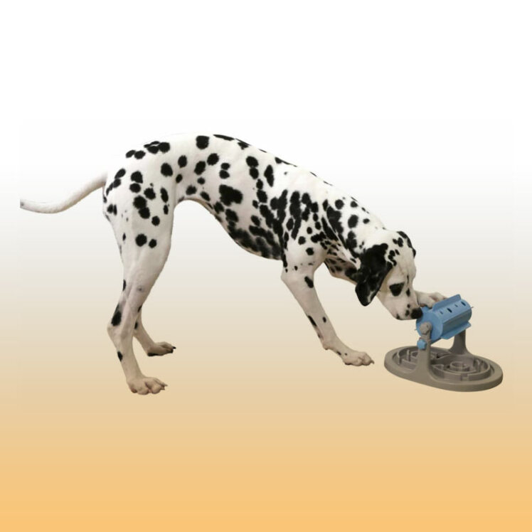 راهنمای خرید اسباب بازی سگ