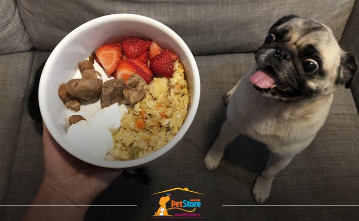 غذای خانگی سگ