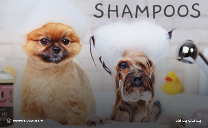 خرید بهترین شامپو سگ