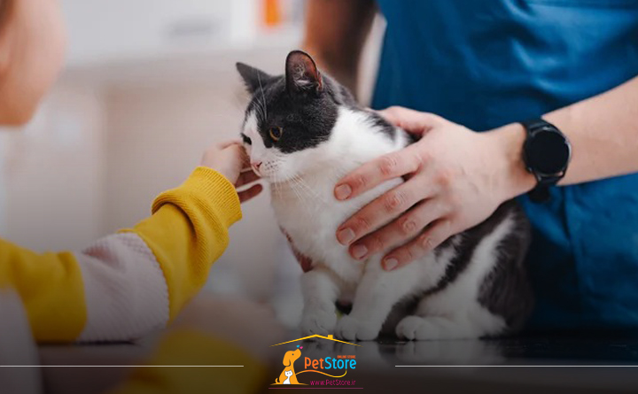 تشخیص قارچ روی بدن گربه