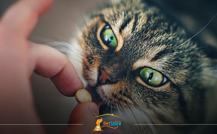 دادن دارو به گربه