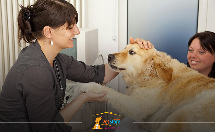 تخلیه کیسه مقعدی سگ