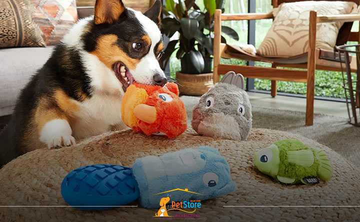 آموزش نجویدن وسائل خونه به سگ