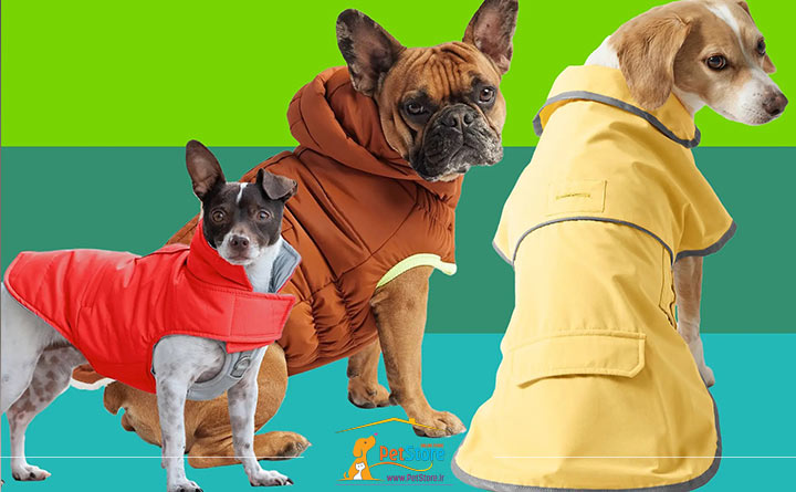 توجه به لباس سگ هنگام خرید