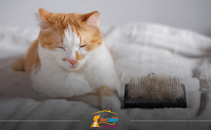 نازک شدن موی گربه جزء بیماری پوستی است