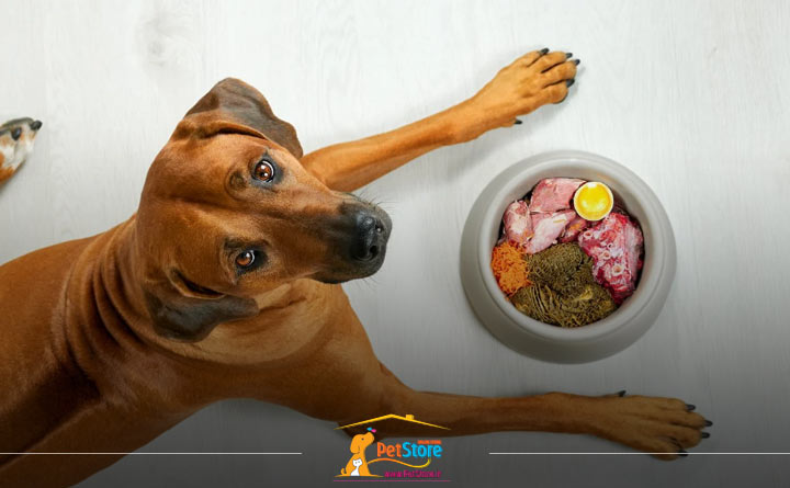 مواد ضروری برای غذای توله سگ