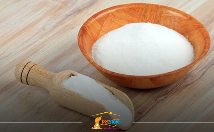 استفاده از جوششیرین برای از بین بردن بوی بد سگ