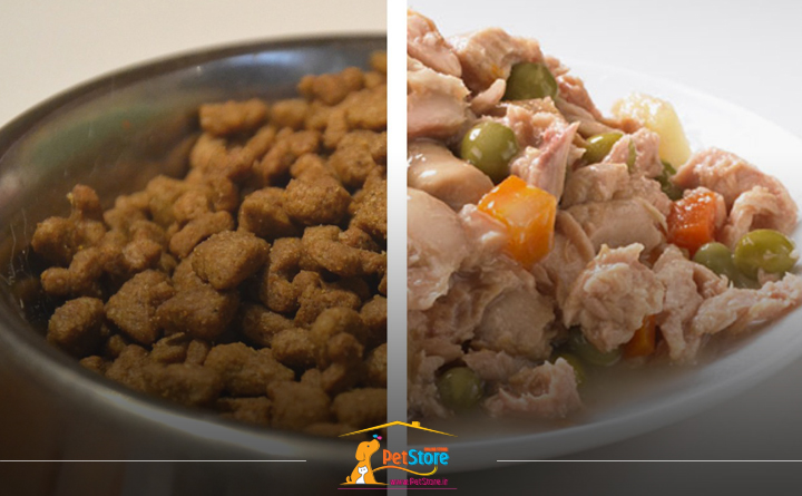 مقایسه غذای خشک و تر سگ