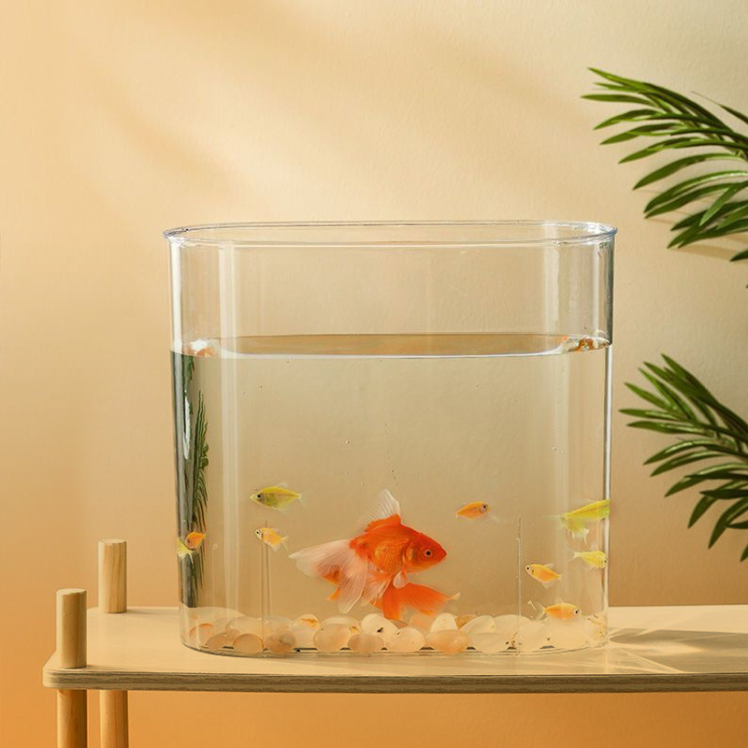 غذای ماهی آکواریوم از کجا بخریم؟