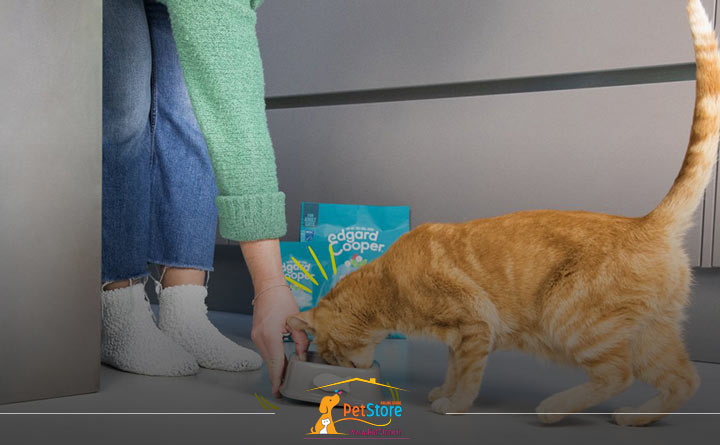 غذا برای گربه عقیم