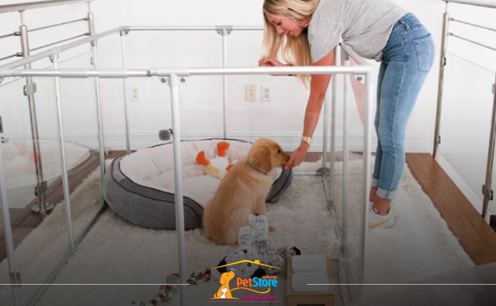 پارک بازی ثابت از انواع پارک بازی سگ