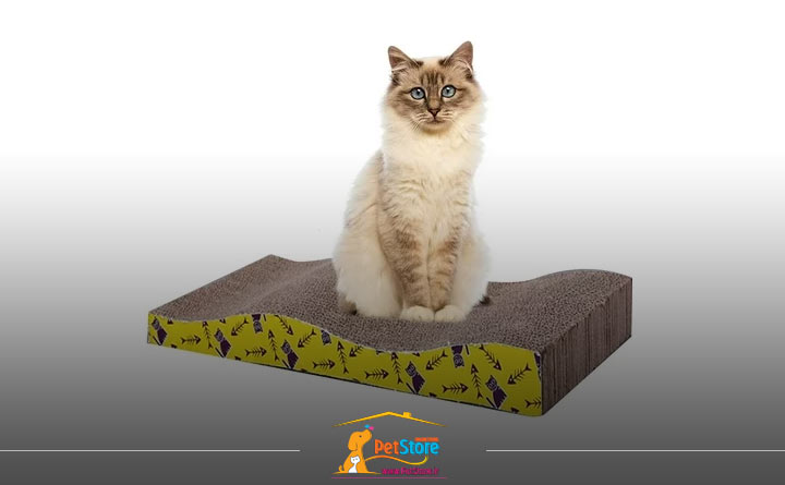 آشنایی با اسکرچر افقی