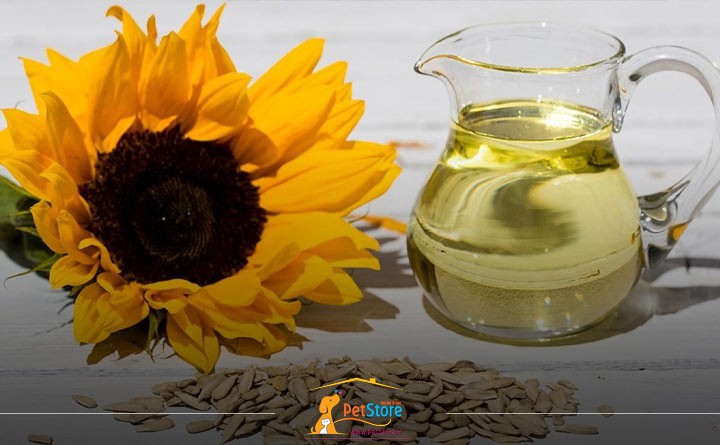 چربی در غذای سگ