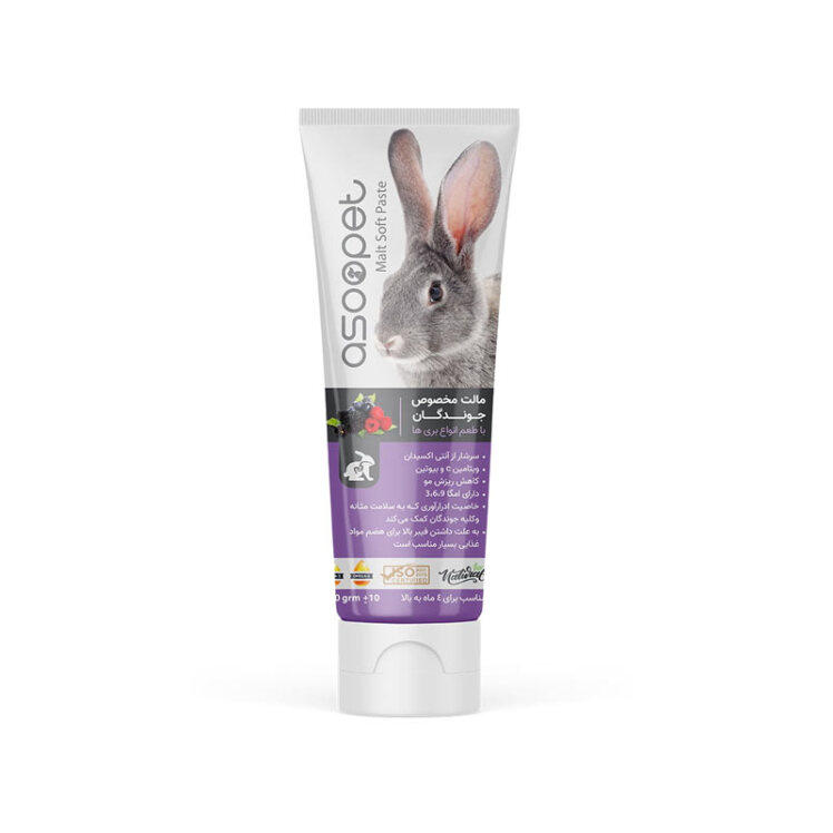 تصویر خمیر مالت مخصوص جوندگان آسوپت با طعم بری حجم 120 گرم