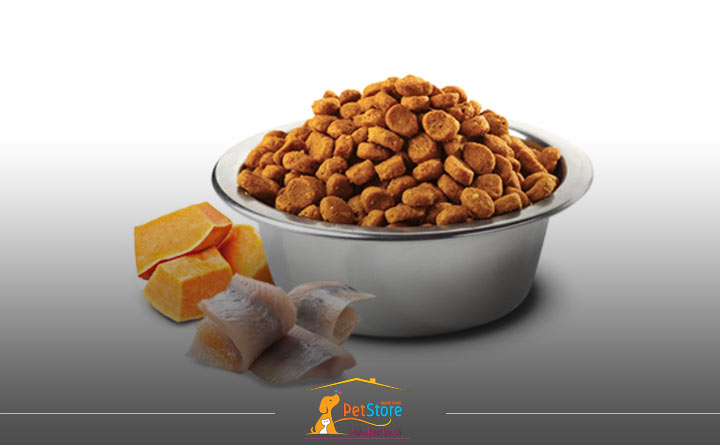 مهمترین ویژگیهای غذای خشک گربه