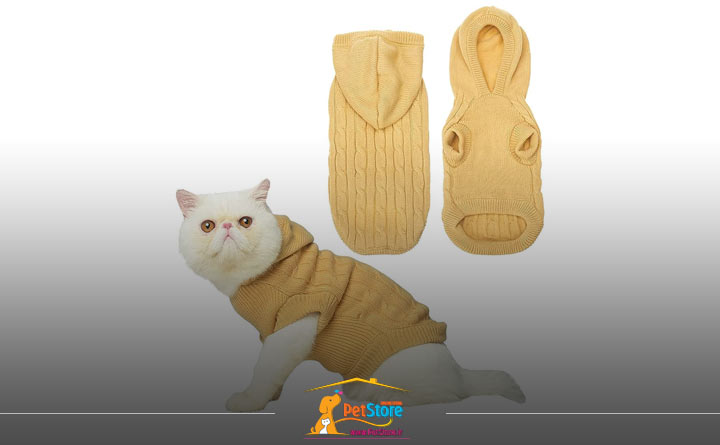 توجه به جنس لباس گربه هنگام خرید 