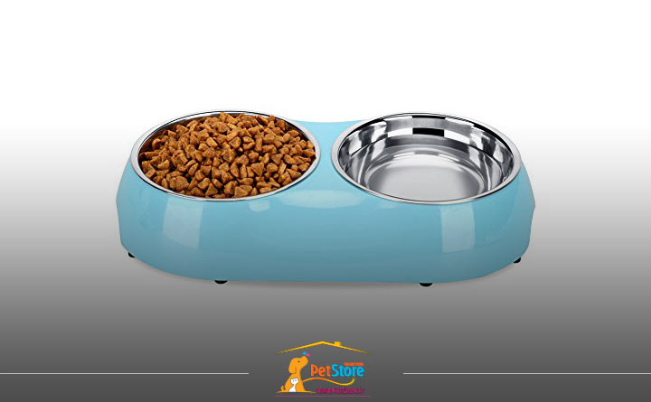 اهمیت خرید ظرف آب و غذا برای سگ