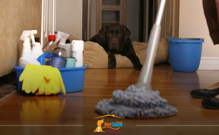 تمیز کردن خانه سگ
