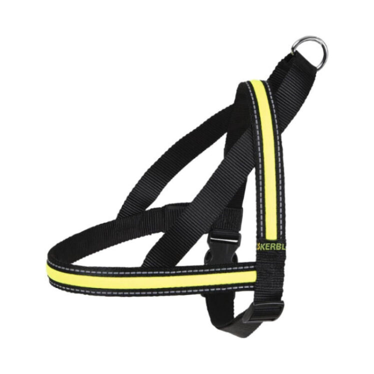 تصویر قلاده کتفی شبرنگ سگ کربل سایز M