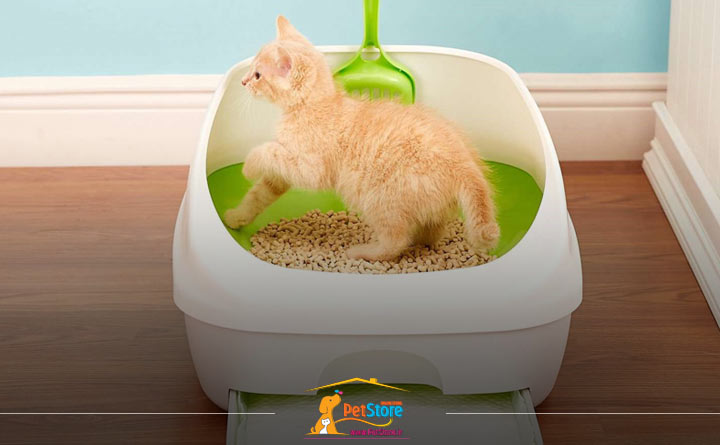 ارتفاع مناسب دیواره‌های ظرف خاک گربه