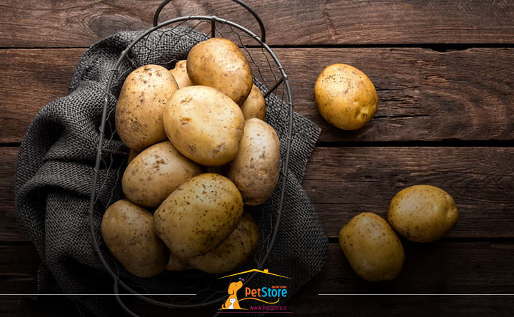 ارزش غذایی سیب زمینی برای گربه