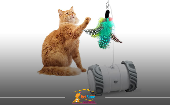 اسباب بازی‌های تعاملی گربه