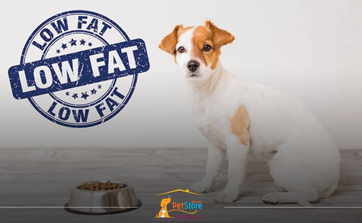غذای کم چرب برای سگ عقیم شده 