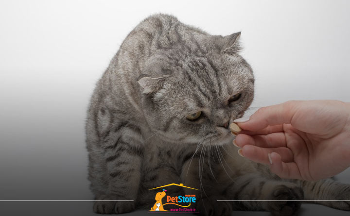 مهم‌‌ترین فواید مولتی ویتامین گربه