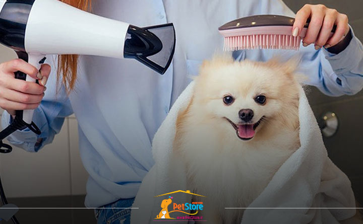 خشککردن کامل سگ پس از حمام و رفع بوی بد سگ