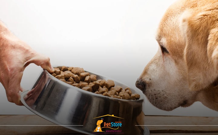 آشنایی با مواد غذایی ضروری در غذای خشک سگ