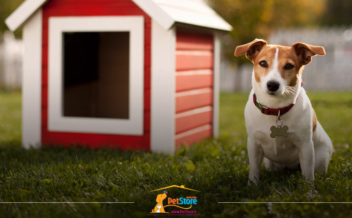خانه سگ چیست؟