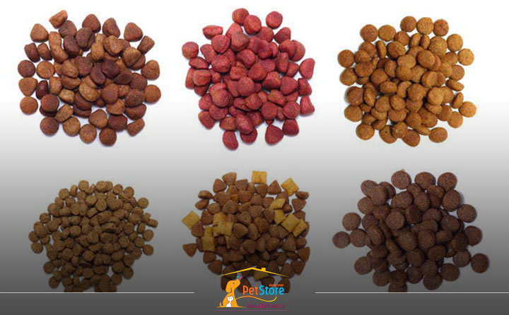 آشنایی با غذای خشک گربه