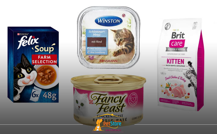 انواع غذای تر گربه بر اساس میزان رطوبت