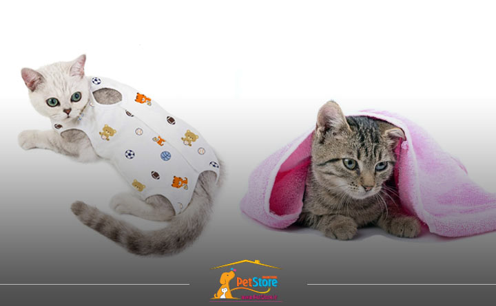 آشنایی با خرید لباس و حوله گربه