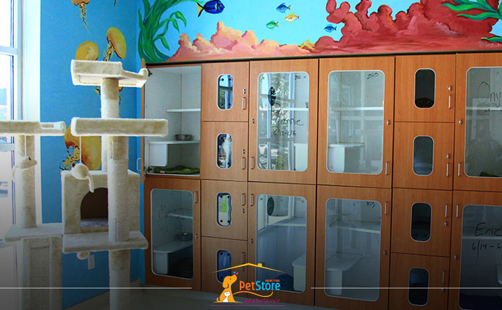 پانسیون حیوانات خانگی