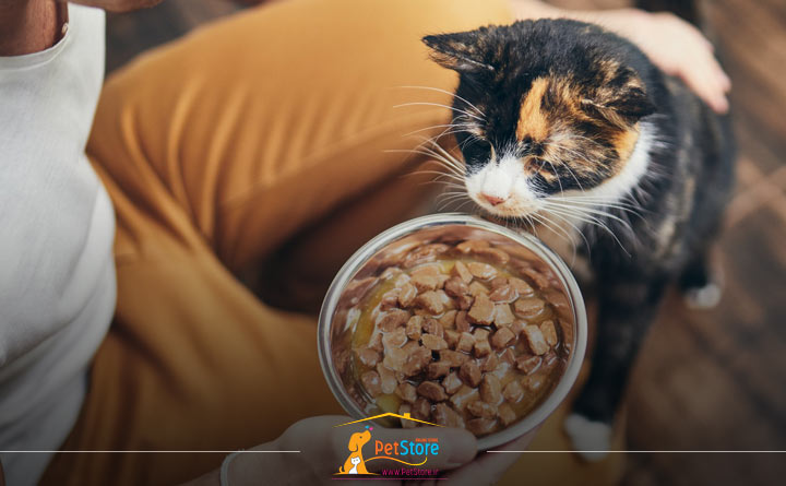 رطوبت بالا از مزایای غذای مرطوب گربه