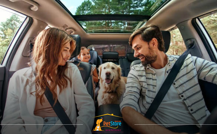 مسافرت با حیوان خانگی