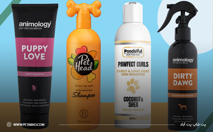 راهنمای خرید شامپو سگ