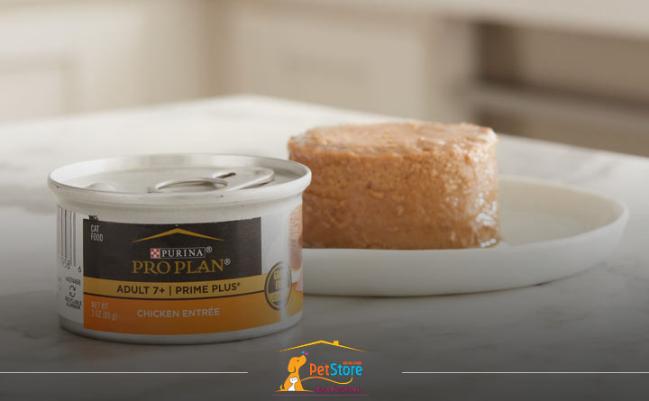 آشنایی با راهنمای خرید غذای مرطوب گربه