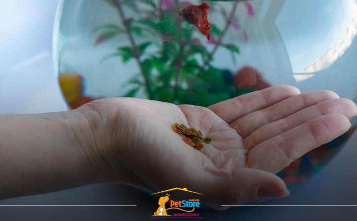 رژیم غذایی ماهی بتا